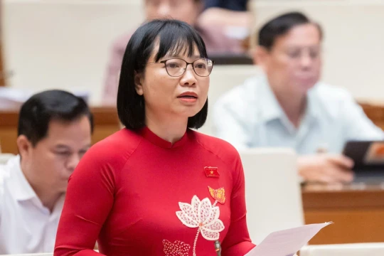 Bàn về chính sách phát triển kinh tế tư nhân, ĐBQH đề nghị có cơ chế hậu kiểm mạnh