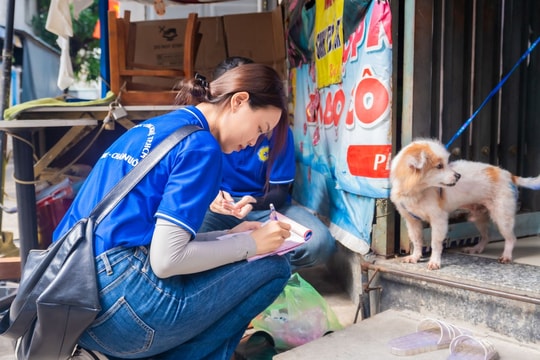 TP Hồ Chí Minh: Sinh viên thú y 'đi từng ngõ, gõ từng nhà' tiêm phòng dại cho chó mèo
