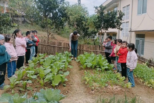 Giáo viên mầm non ngóng tăng phụ cấp lên 45-80%