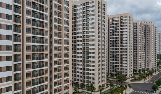 Giá chung cư tại Hà Nội, TP.HCM đã chững lại, không còn tăng mạnh như năm 2024