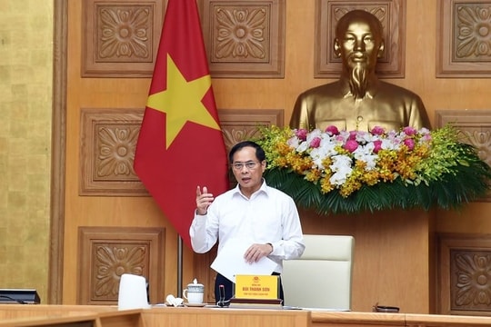 Phó Thủ tướng chỉ đạo: Thường xuyên, liên tục kiểm tra để triệt tiêu hàng giả
