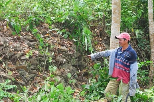 Cho phép khai quật di tích Trường Lũy Bình Định