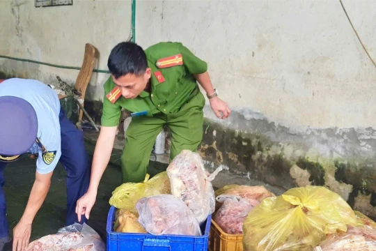 Xử phạt chủ kho hàng chứa gần 4 tấn gà đông lạnh bốc mùi ở Hà Giang