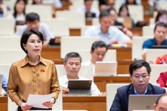 Cần giải pháp để kiểm soát chồng chéo giữa thanh tra và kiểm tra
