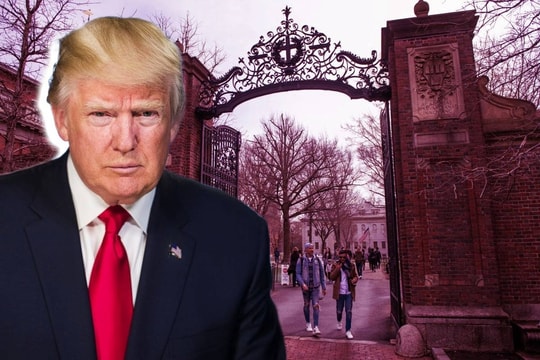 Chính phủ Mỹ cấm Đại học Harvard tuyển sinh viên quốc tế