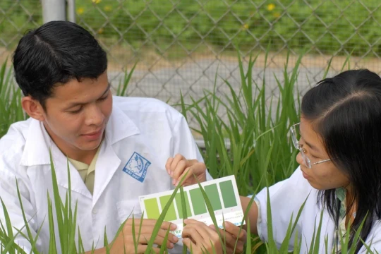 Đào tạo nhân lực vùng ĐBSCL: Thích ứng với chiến lược 'xoay trục'