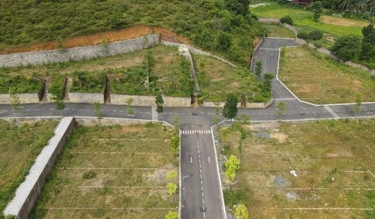 Đất huyện ngoại thành Hà Nội đấu giá cao nhất gần 181 triệu đồng/m2