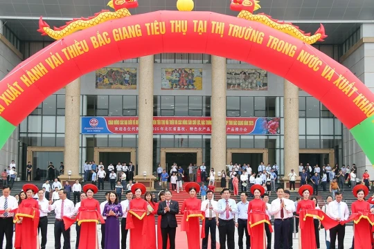 Kết nối sản xuất, tiêu thụ vải thiều - đặc sản mang thương hiệu quốc gia