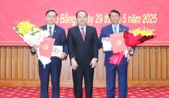 Chủ tịch tỉnh Cao Bằng xin nghỉ hưu trước tuổi