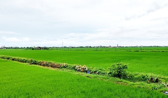 Người dân lưu ý một số điều kiện quan trọng sau đây khi muốn chuyển nhượng đất đai trong năm 2025