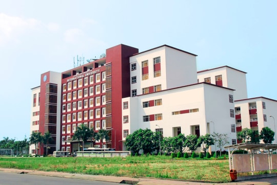 "Đại học trong đại học" ở Việt Nam giống và khác thế giới ra sao?