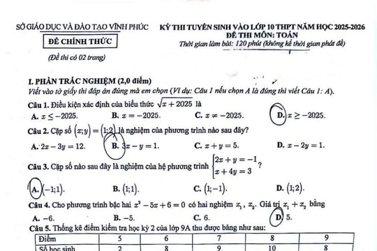 Đề thi môn toán lớp 10 tỉnh Vĩnh Phúc năm 2025