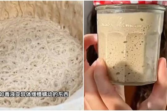 Lười nhưng thích 'chữa lành', giới trẻ Trung Quốc nuôi nấm men làm thú cưng