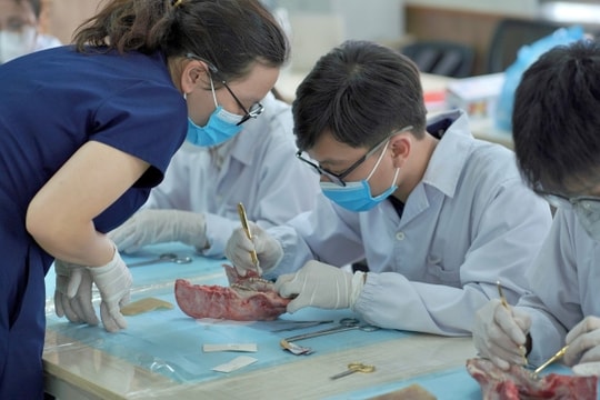 Trường Y Dược, ĐH Quốc gia Hà Nội lần đầu xét tổ hợp có Tiếng Anh