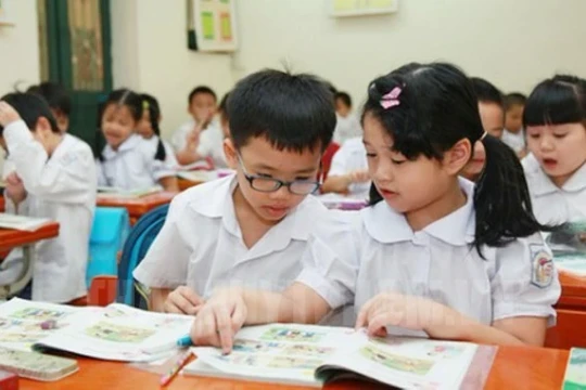 Nếu HS tiểu học xin học bồi dưỡng văn hóa thêm thì có được mở lớp ở trung tâm?