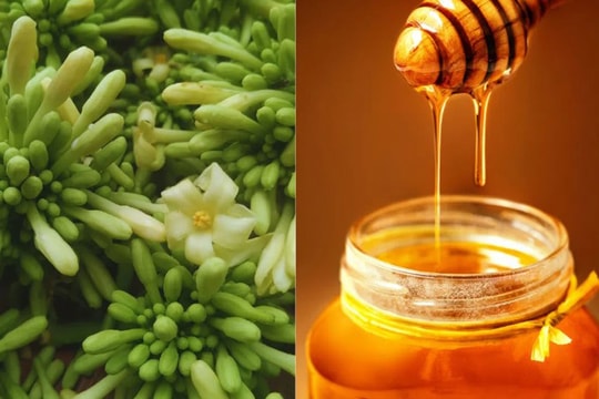 Nên uống mật ong ngâm hoa đu đủ đực vào thời điểm nào?