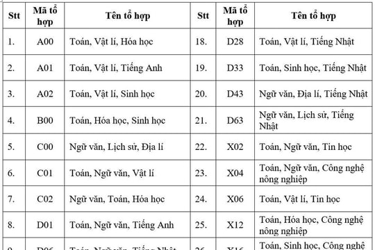 Đại học Việt Nhật mở rộng tuyển sinh năm 2025: Xét tuyển 33 tổ hợp, lần đầu có tổ hợp C00, thêm ba ngành mới