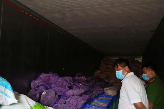 Phát hiện hơn 11 tấn thực phẩm đông lạnh không rõ nguồn gốc