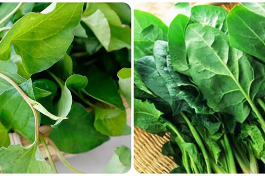 5 loại rau quả thải độc gan tự nhiên
