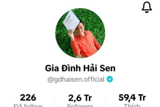 Chủ kênh TikTok 'Gia đình Hải Sen' bị bắt