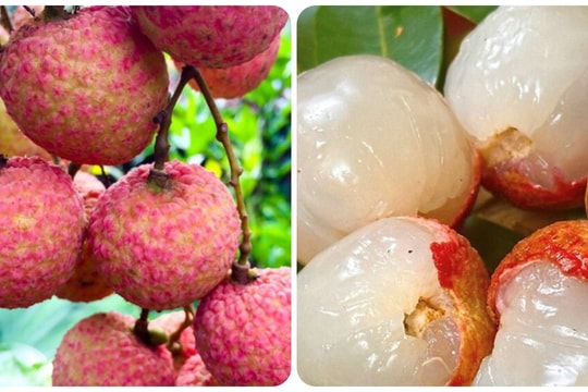 Nên ăn bao nhiêu quả vải mỗi ngày?