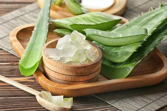 7 công dụng bất ngờ của nha đam