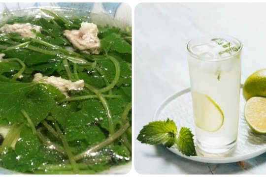 7 món ăn, thức uống giải độc thận hiệu quả