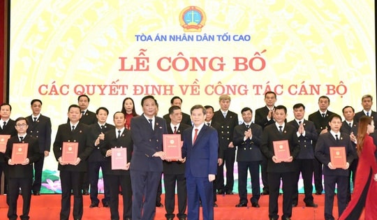 Bổ nhiệm 29 Chánh tòa và Chánh án các tỉnh thành mới tại tòa án Nhân dân tối cao