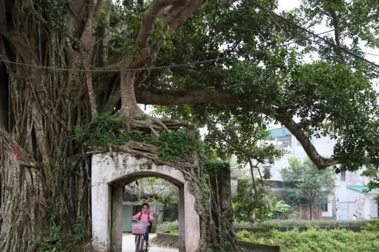 Cổng làng và ký ức văn hóa người Hà thành: Nơi thời gian dừng lại!