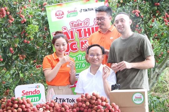 Lãnh đạo tỉnh Bắc Ninh “chốt đơn” thần tốc: 6 giờ livestream bán sạch 54 tấn vải thiều!