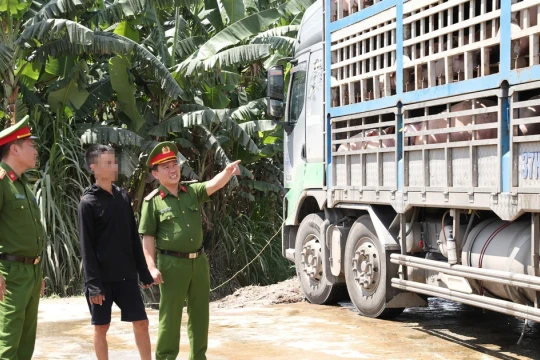 Hà Tĩnh 'tuyên chiến' với hàng giả, thực phẩm bẩn