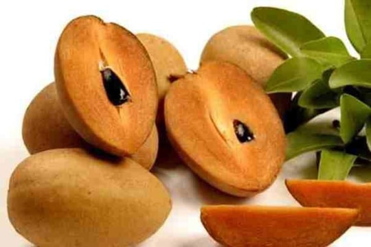 Những tác dụng chữa bệnh của quả hồng xiêm