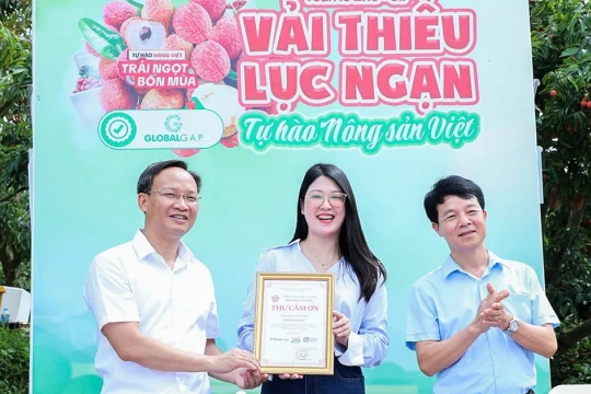'Phó Chủ tịch tỉnh livestream bán 54 tấn vải thiều: Nếu bà con cần, tôi sẵn sàng làm nữa'