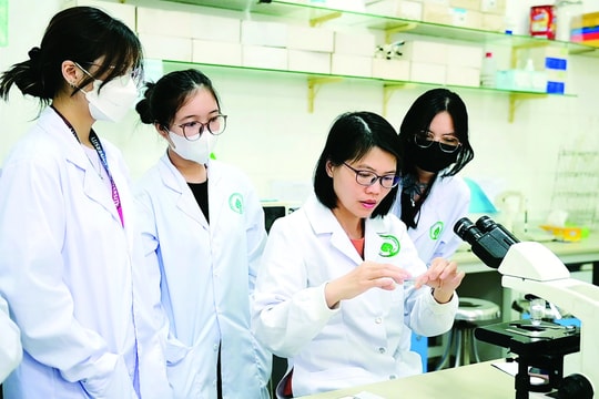 ĐH Quốc gia TP.HCM thí điểm đào tạo tiến sĩ theo chuẩn quốc tế, có thể hoàn thành trong 2 năm