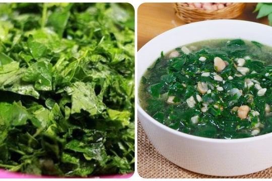 Những người nên hạn chế ăn rau ngót