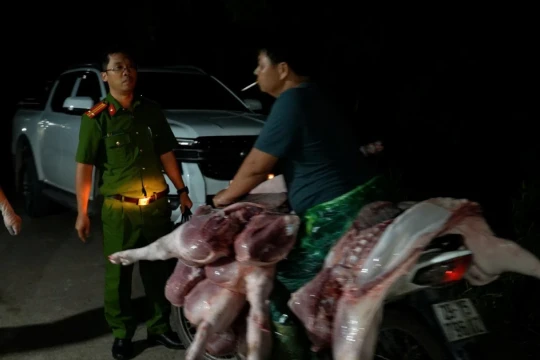 Triệt phá đường dây giết mổ, tiêu thụ thịt lợn nhiễm dịch tả lợn châu Phi