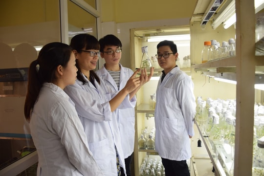 Lương cử nhân công nghệ sinh học phổ biến từ 8-15 triệu đồng/tháng, nhu cầu tuyển dụng tăng mạnh sau đại dịch