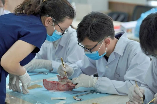 Trường Đại học Y Dược mở chương trình đào tạo Thạc sĩ bằng tiếng Anh