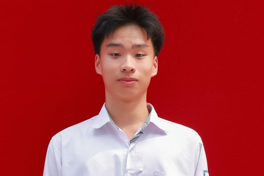 Đỗ 8 đại học Mỹ sau nửa năm làm hồ sơ