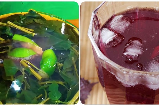 Cách nấu nước lá tía tô uống giải nhiệt ngày hè
