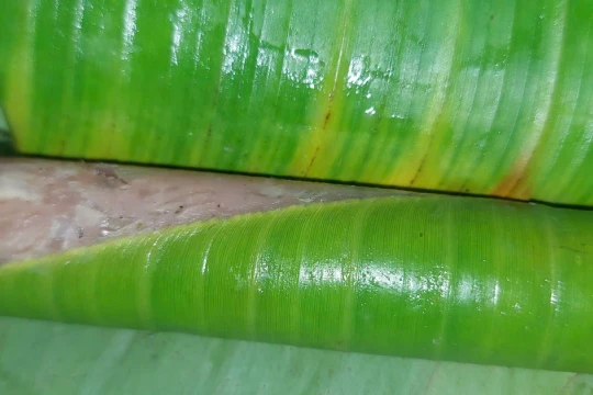 Thức quà đặc biệt