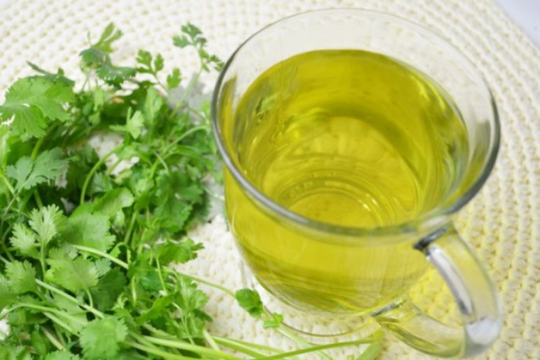 Uống nước lá rau mùi có tác dụng gì?