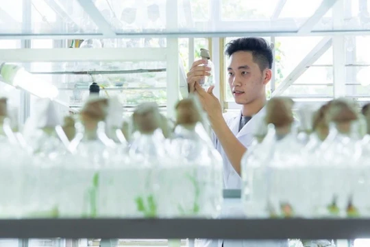 Bổ sung nội dung bảo vệ môi trường vào chương trình đào tạo đại học chính quy