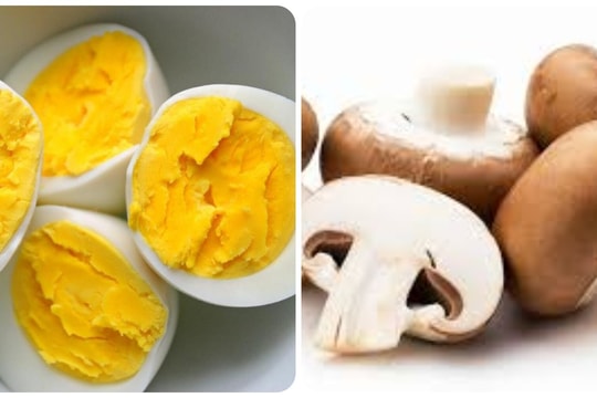 Vitamin D có trong thực phẩm nào nhiều nhất?