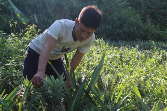 Điện Biên tháo gỡ điểm nghẽn trong thực hiện chính sách dân tộc