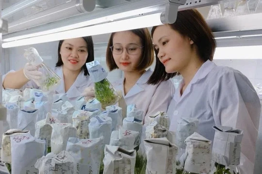 Đào tạo ngành Sinh học theo hướng ứng dụng gắn với thực tiễn và hội nhập quốc tế