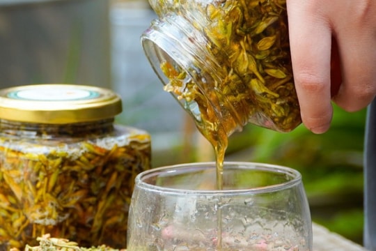 Uống mật ong hoa đu đủ đực mỗi sáng, cơ thể thay đổi thế nào?