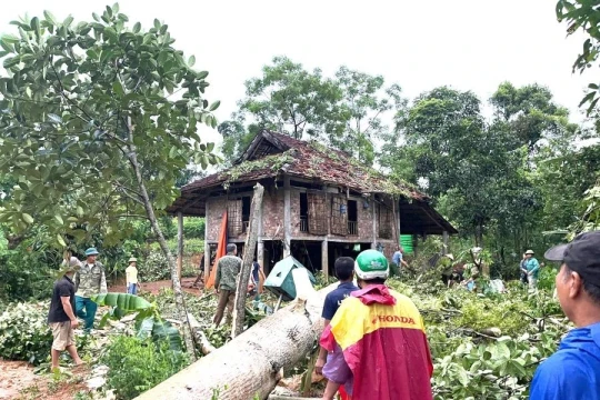 Phú Thọ: Trên 300 nhà dân bị hư hỏng, 1 người chết do bão số 3