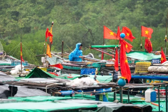 Bão số 3 áp sát: Quảng Ninh di dời gần 10.000 người, đưa 14.000 du khách về bờ