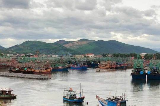 Hơn 8.100 tàu thuyền ở Quảng Trị vào nơi neo đậu an toàn